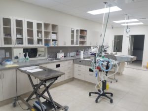 Paramount Animal Hospital — commercial renovation by Phil's Contracting